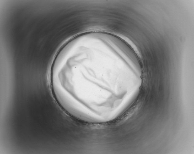 X0000100910815200807220949