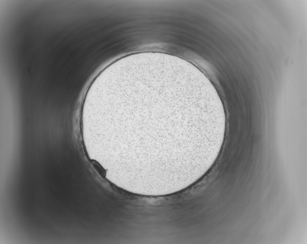 X0000100910816200807220949