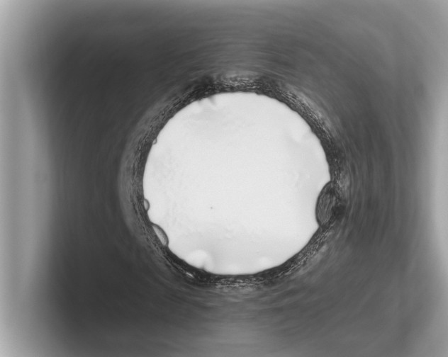 X0000100910817200807220948