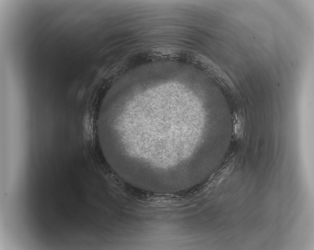 X0000100910819200807220948