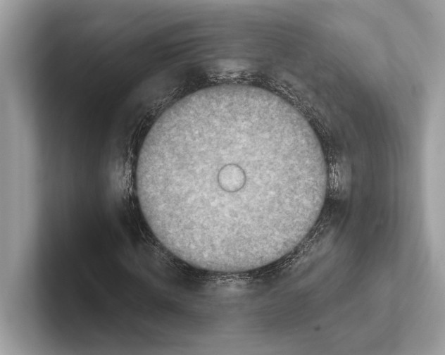 X0000100910820200807220948