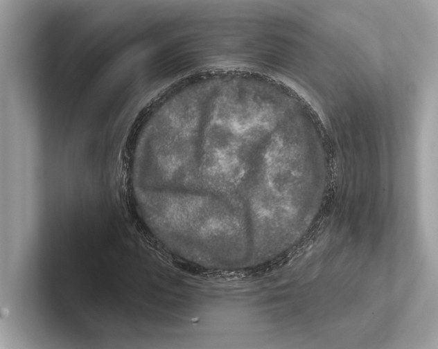 X0000100910823200807220948