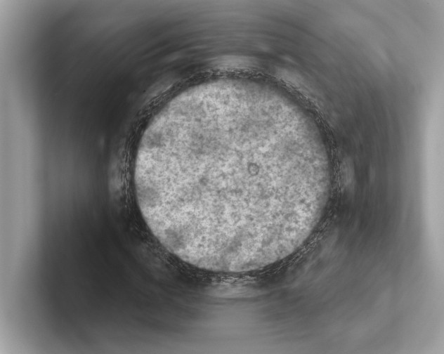 X0000100910824200807220948