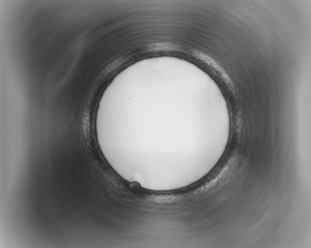 X0000100910825200807220949