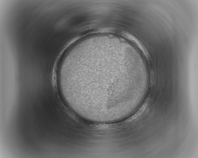 X0000100910827200807220949