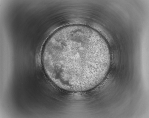 X0000100910828200807220949