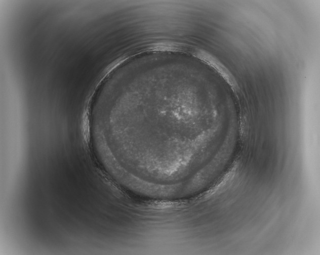 X0000100910829200807220949