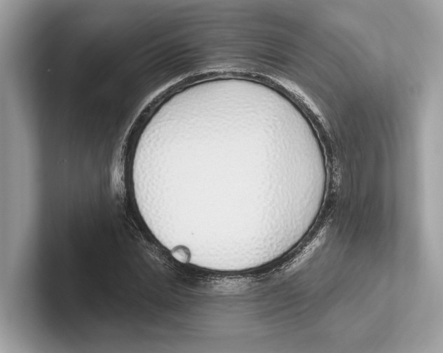 X0000100910830200807220949