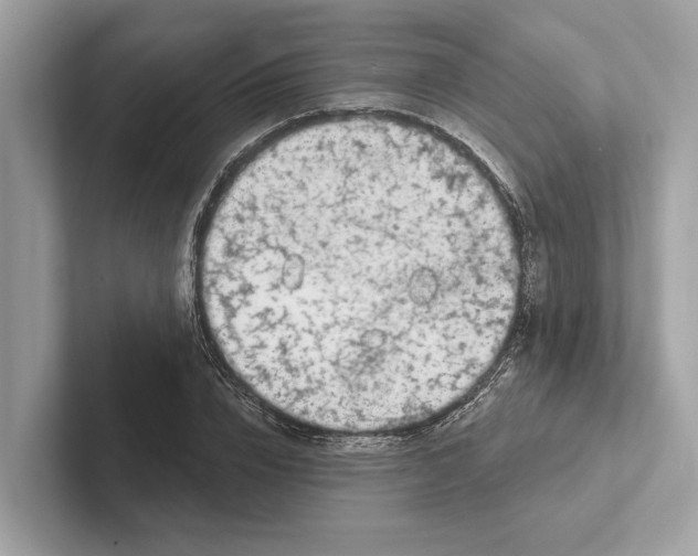 X0000100910832200807220949