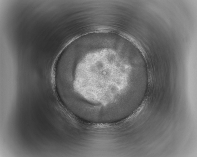 X0000100910835200807220949