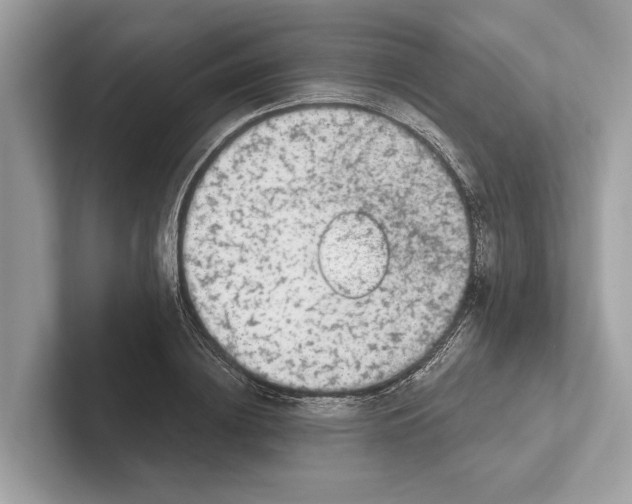 X0000100910836200807220949