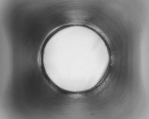 X0000100910838200807220949