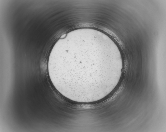 X0000100910841200807220949