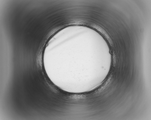 X0000100910842200807220949