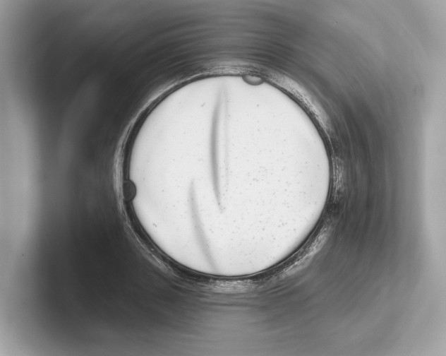 X0000100910843200807220949