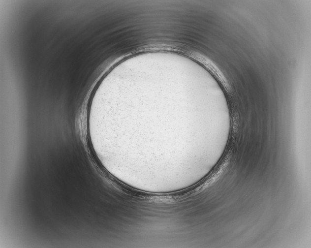 X0000100910844200807220949