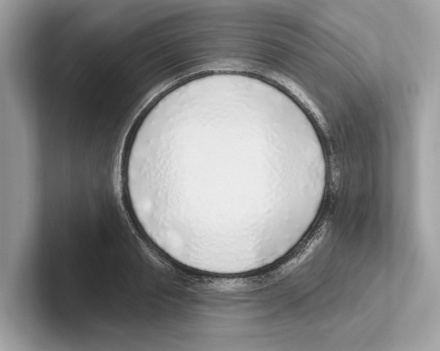 X0000100910845200807220949