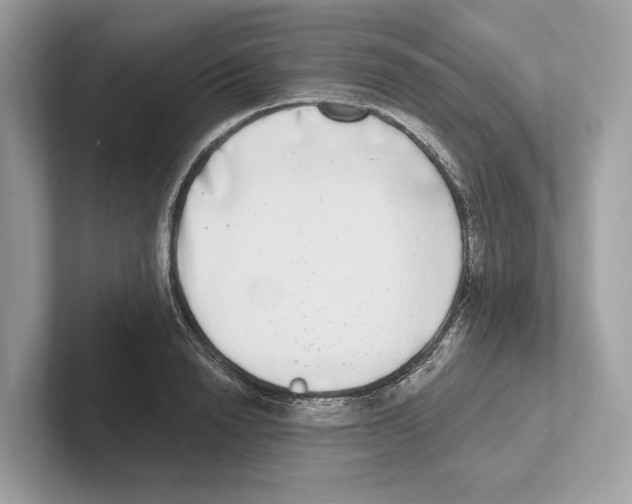 X0000100910846200807220949