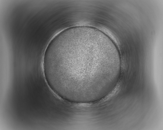 X0000100910847200807220949