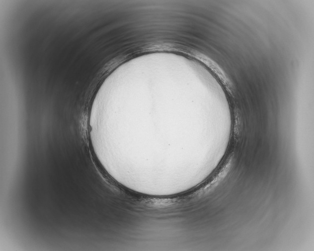 X0000100910849200807220949