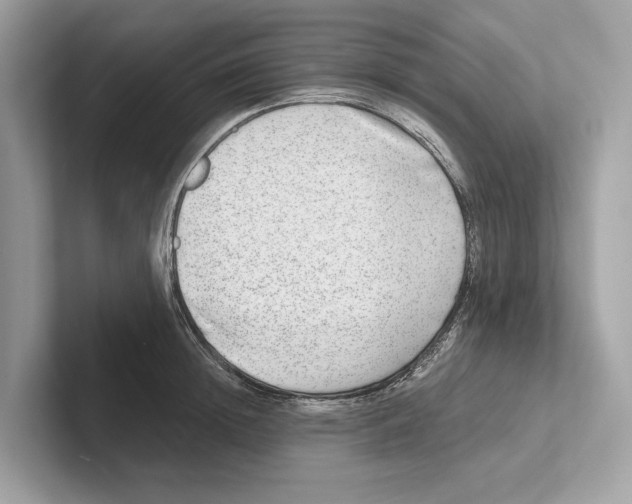 X0000100910852200807220949