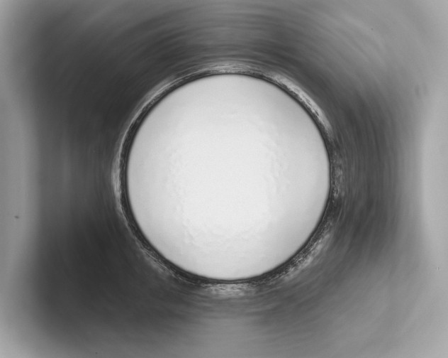 X0000100910853200807220949