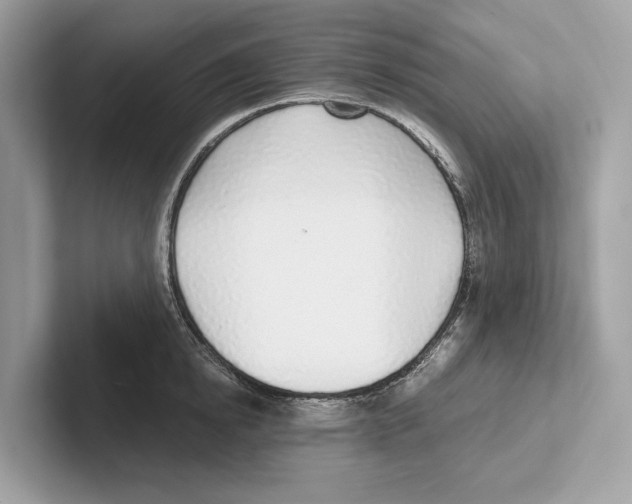 X0000100910854200807220949