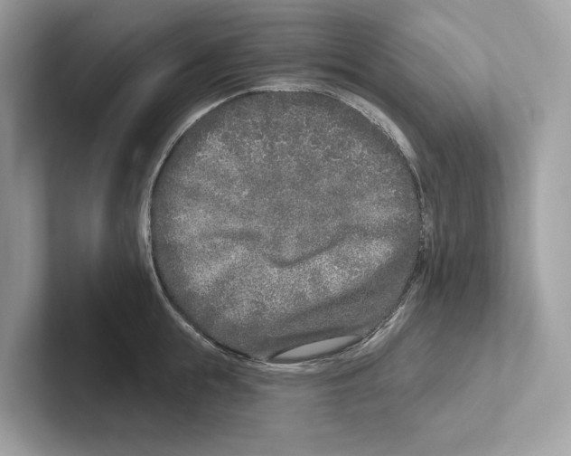 X0000100910855200807220949