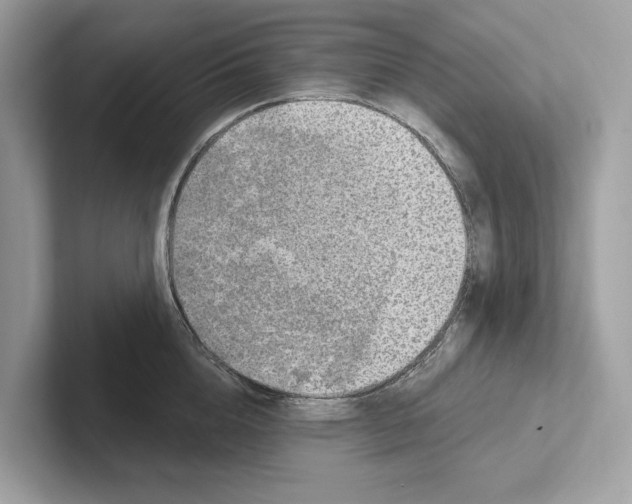 X0000100910856200807220949