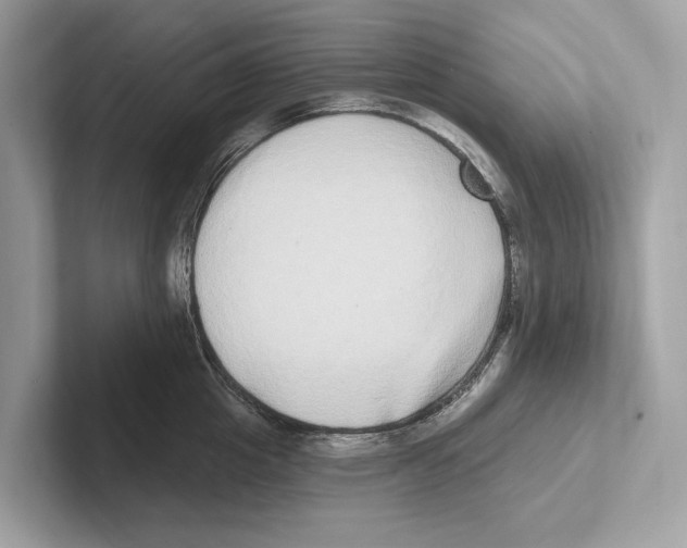 X0000100910857200807220949