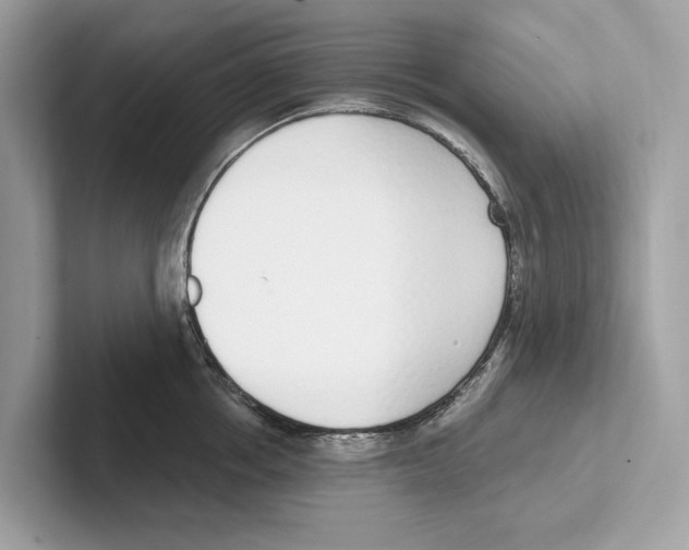 X0000100910858200807220949