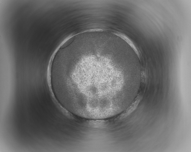 X0000100910859200807220949