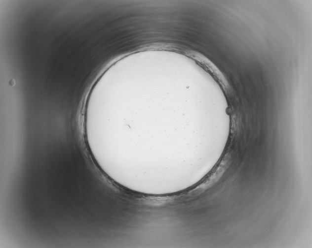 X0000100910860200807220949