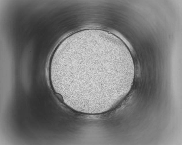 X0000100910861200807220949