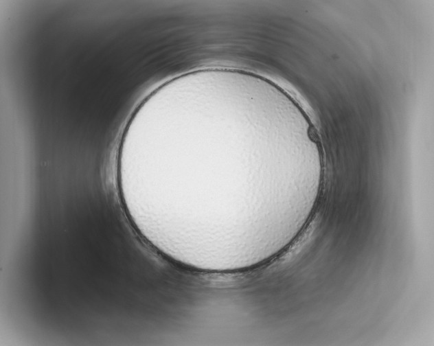 X0000100910862200807220949