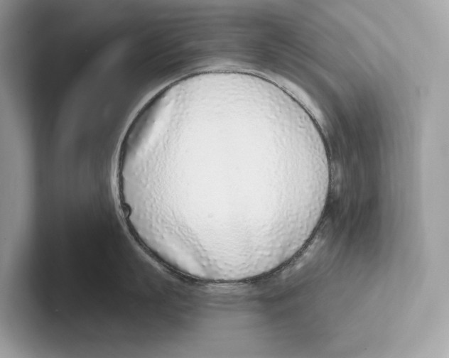 X0000100910863200807220949