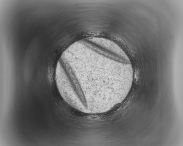 X0000100910867200807220948