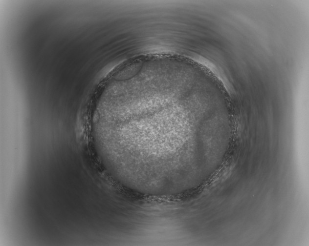 X0000100910871200807220948