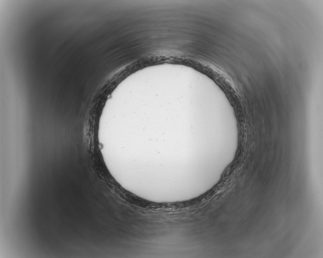 X0000100910872200807220948