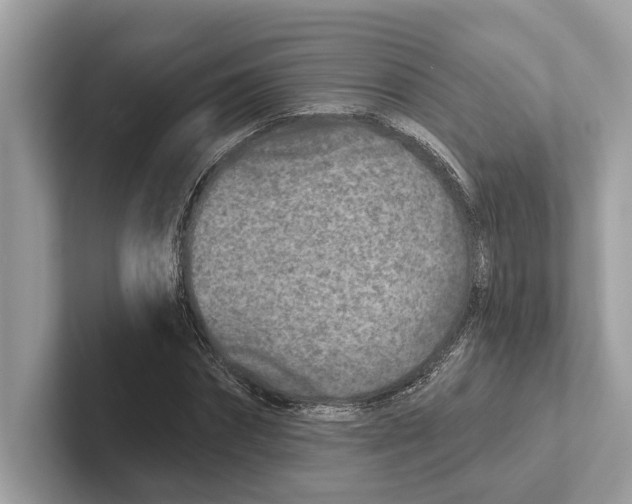 X0000100910874200807220948