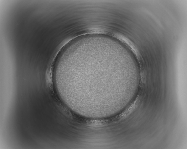 X0000100910875200807220948