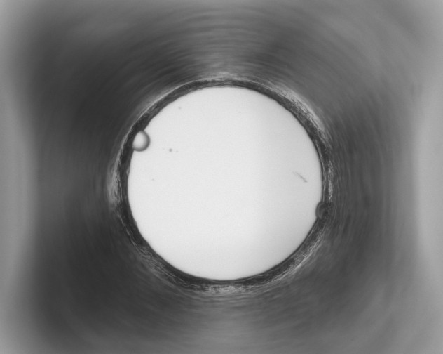 X0000100910876200807220948