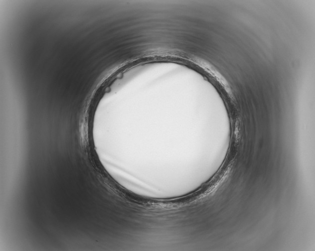 X0000100910877200807220948