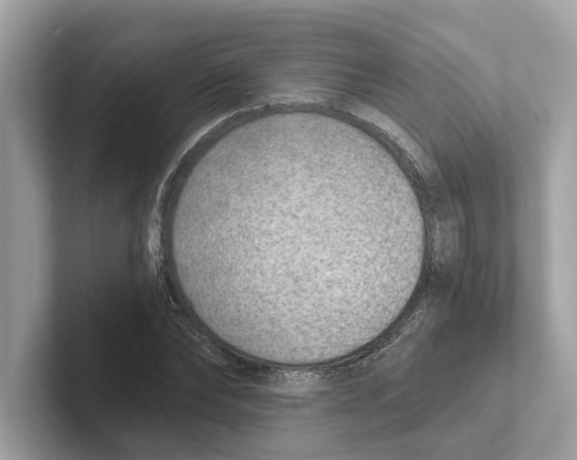 X0000100910878200807220948