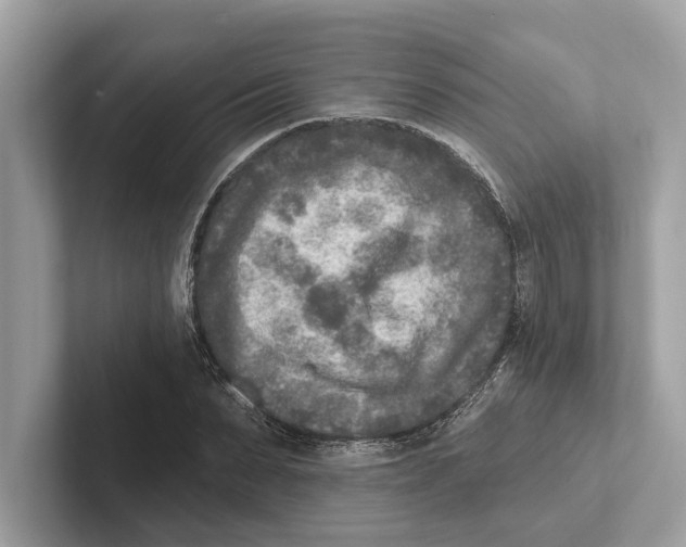 X0000100910879200807220948