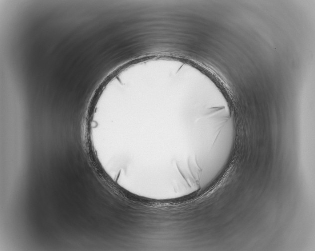 X0000100910880200807220948