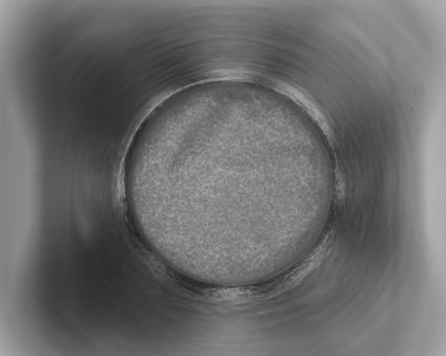 X0000100910883200807220948