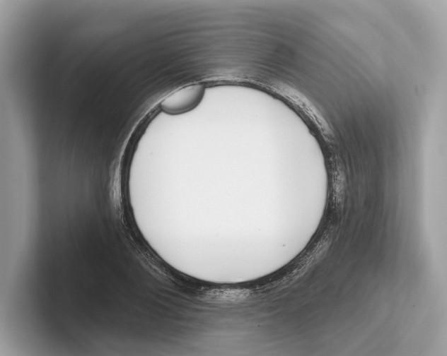 X0000100910884200807220948