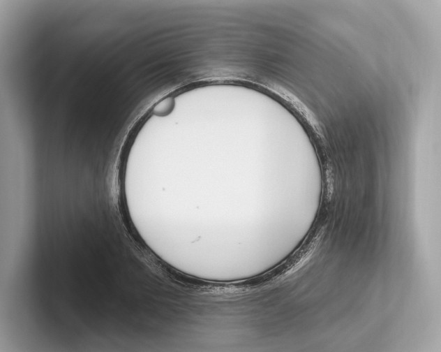 X0000100910885200807220948