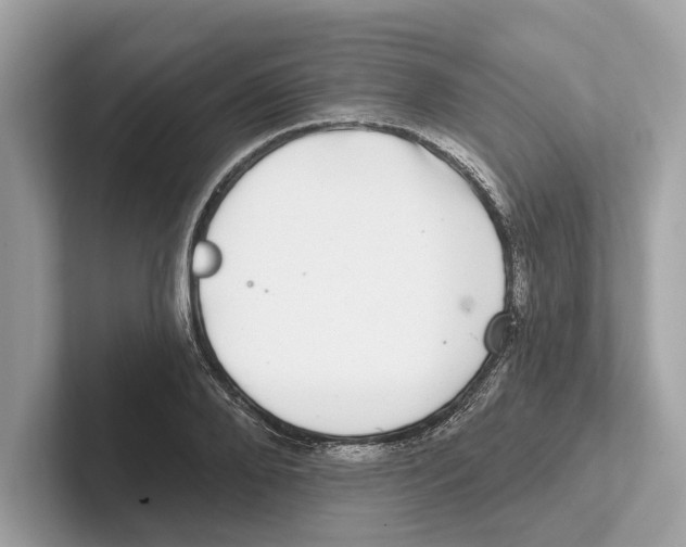 X0000100910888200807220948